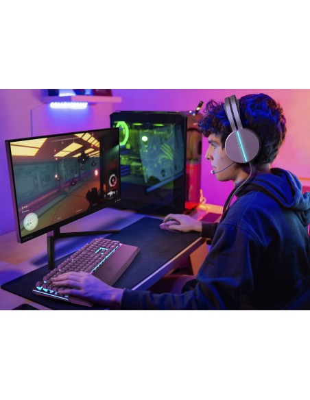 monitor-245-300hz-reg-alt-gaming-5.jpg
