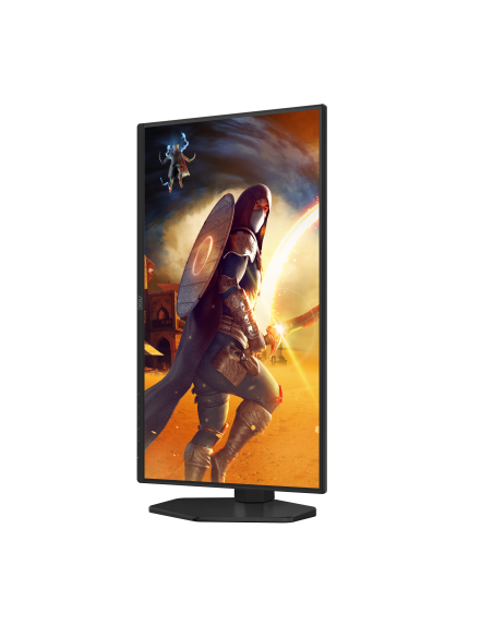 monitor-25-ips-300hz-gaming-reg-10.jpg
