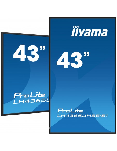 prolite-43in-3840x2160-uhd-ips-panel-1.jpg