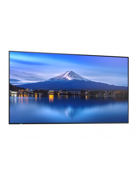 multisync-p656-11.jpg