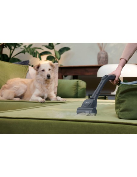 hoover-traino-br31pet-011-5.jpg