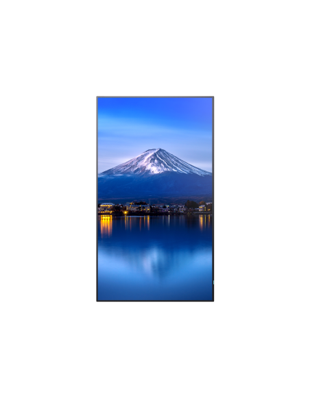 multisync-p436-3.jpg