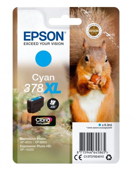 singlepack-ciano-xl-378-scoiattolo-c13t37924010-1.jpg