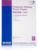 Epson PREMIUM GLOSSY Carta Fotografica A2  25 Fogli - C13S042091