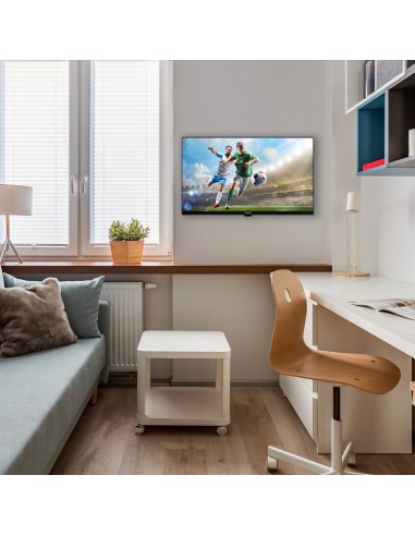 panasonic-ts-24n30aez-led-hd-t2-sat-hd-ready-dvb-t2-s2-hevc-h265-10.jpg