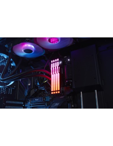 16gb-5600-ddr5-dimm-k2-fbrgb-expo-10.jpg