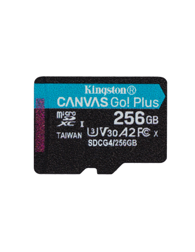 kingston-go-256gbadatt-2.jpg