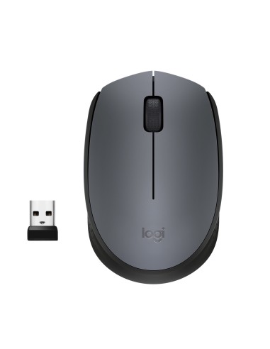 m170-grey-910-004642-1.jpg