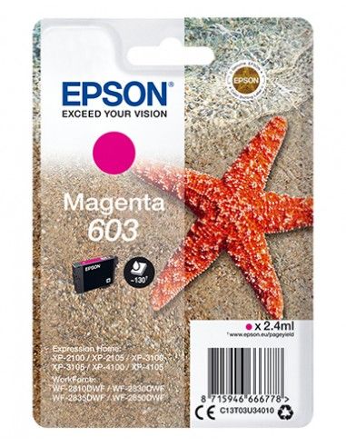 cartinch-magenta-stella-marina-c13t03u34020-1.jpg