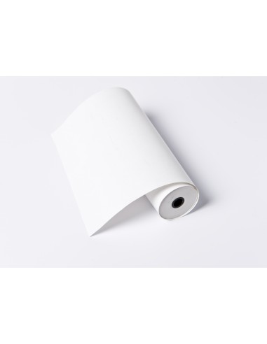Brother ROTOLO CARTA A4 (6PEZZI) X PJ - PAR411