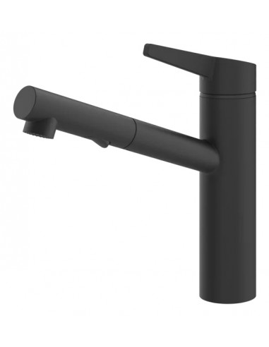 Gessi THALIUM 60536.299 Rubinetto monocomando girevole con doccetta estraibile doppio getto Matte Black