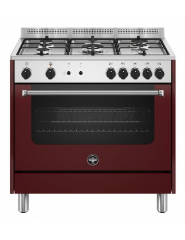 La Germania AMN965GVIV/24 Cucina Gas 5 Fornelli con Forno elettrico/Gas 90 cm